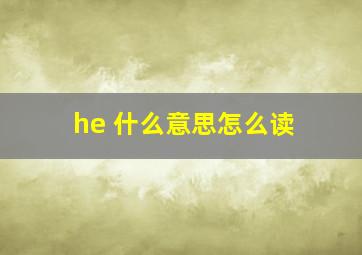 he 什么意思怎么读